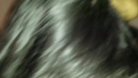 35774